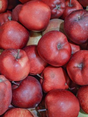 Bir sürü taze kırmızı elma, yakın plan..