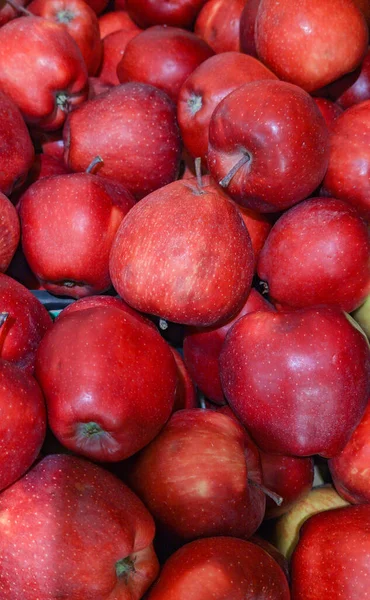Bir sürü taze kırmızı elma..