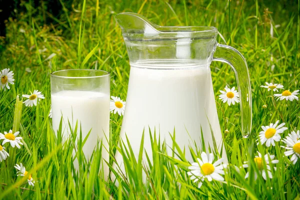 Jarro e copo de leite sobre grama verde — Fotografia de Stock
