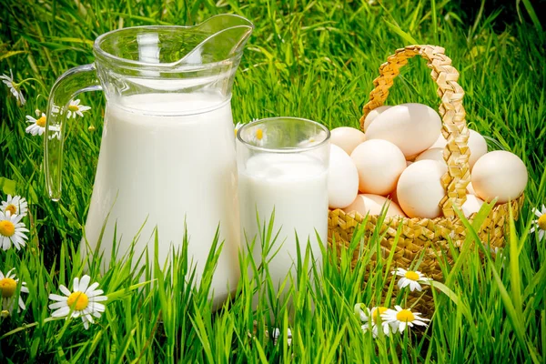 Krug und Glas Milch über grünem Gras — Stockfoto