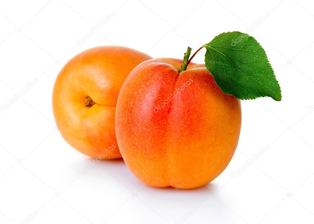 Ripe apricot fruits with green leaf isolated on white