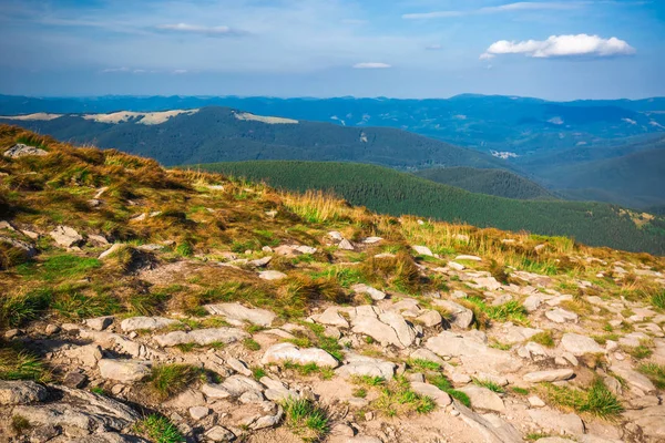 Bergen landschap. Berg Goverla, de hoogste piek van Oekraïne — Stockfoto