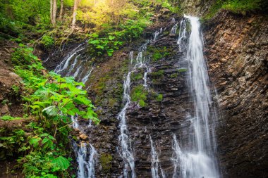 Ahşap dağ şelale Guk. Ukraynalı Karpatlar.