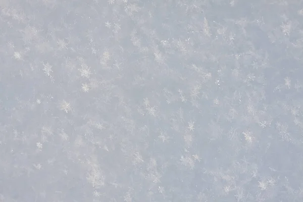 Texture of fluffy snow — Stock Photo, Image