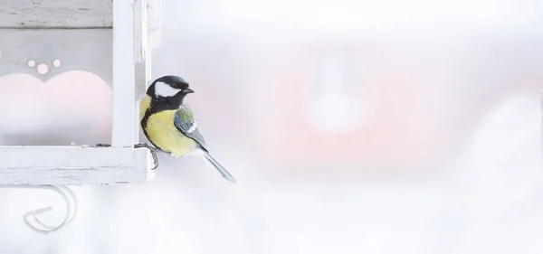 크리스마스 배경 짹 스톡 사진