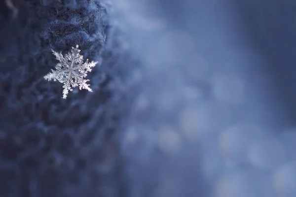 Copos de nieve en azul — Foto de Stock