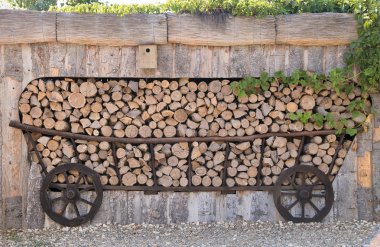 woodpile eski bir sepeti ve yeşil sarmaşık şeklinde