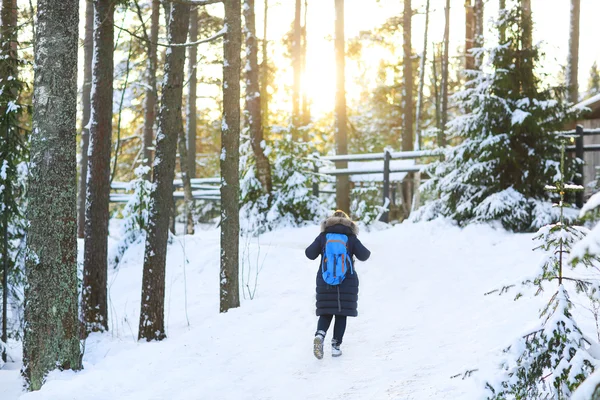 Kvinna vandring i vit vinter skog — Stockfoto
