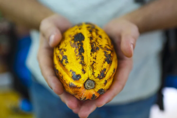 Cabillaud de cacao à la main mans — Photo