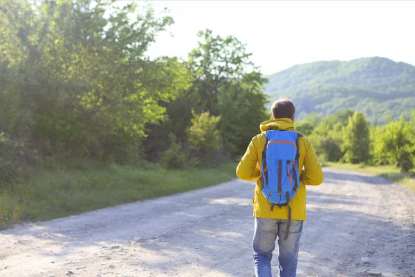 Вид сзади на человека с рюкзаком походы в лесу — стоковое фото