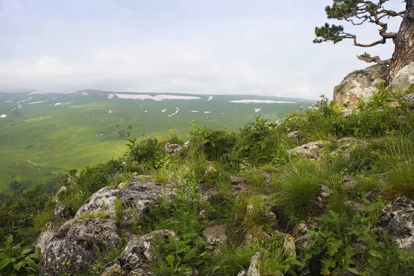 Vallée le paysage est à couper le souffle, Lagonaki, Caucase, Russie — Photo