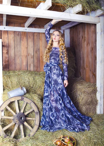 Hermosa mujer rubia de moda en el granero de heno —  Fotos de Stock