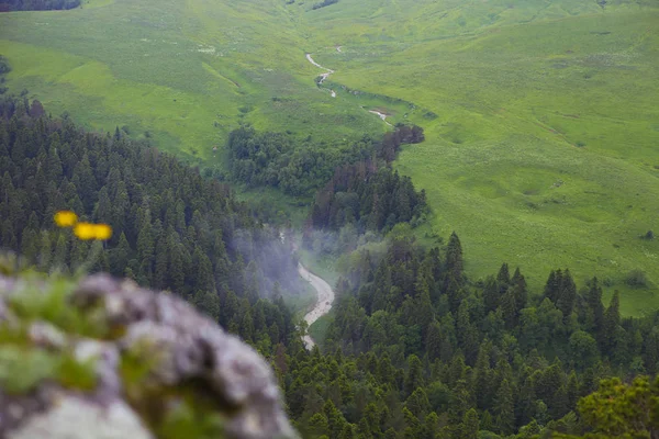 Долина захватывающая, Лагонаки, Кавказ, Россия — стоковое фото