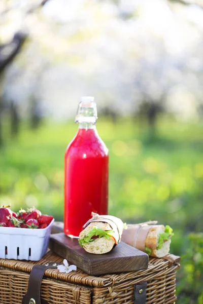 Korg, smörgåsar, pläd och juice i en blommande trädgård — Stockfoto