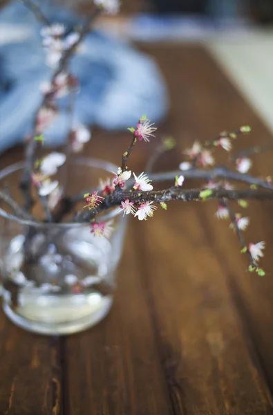 Branche fleurie sur table en bois — Photo