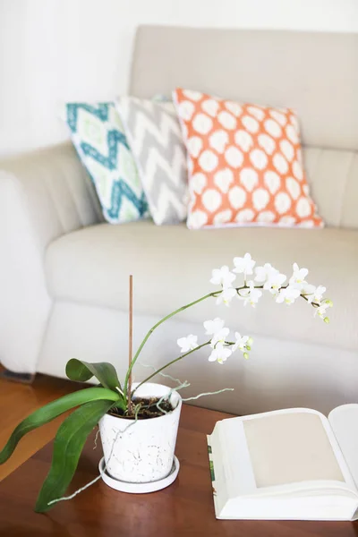 Красивая белая орхидея и открытая книга на деревянном столе — стоковое фото