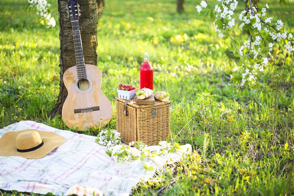 Guitar, basket, sandwiches, plaid and juice in a blossoming gard