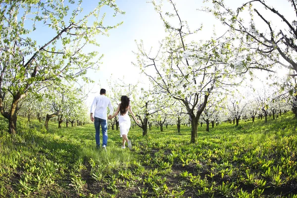 Jovem casal apaixonado correndo no jardim flor de primavera — Fotografia de Stock