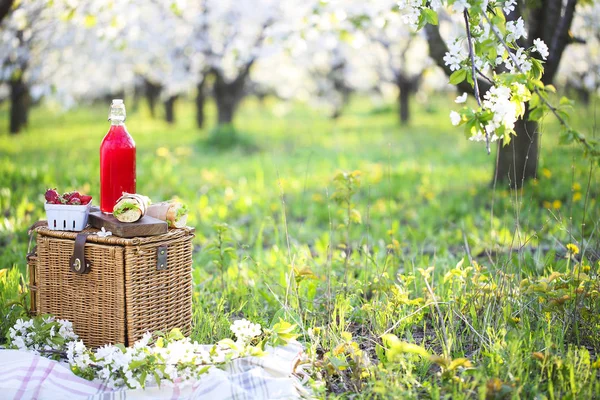 Cesto, panini, plaid e succo di frutta in un giardino fiorito — Foto Stock