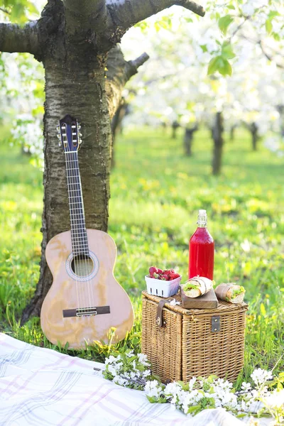 Гітара, кошик, бутерброди, плед і сік у квітучому саду — стокове фото