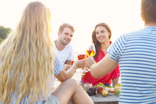 Amici sulla spiaggia estiva pic-nic — Foto Stock