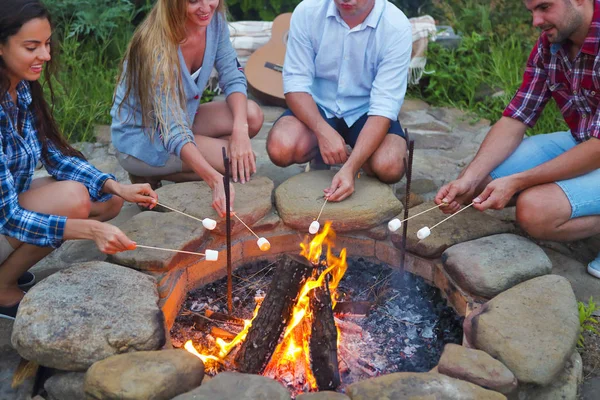 Company of young people holding sticks with marshmallows — Stock Photo, Image