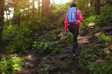 Sırt çantası olan kadın dağ ormanda yürümek