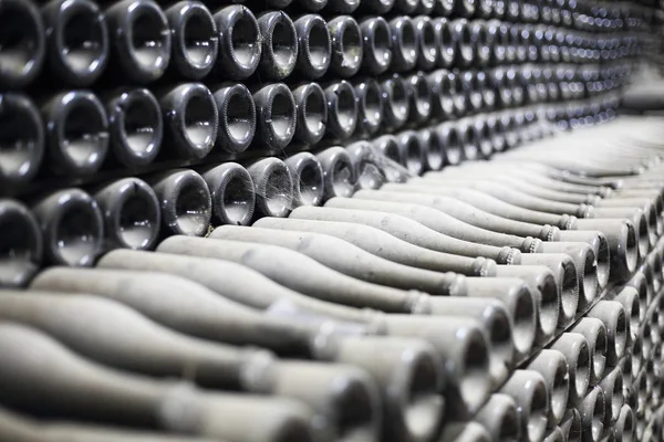 Stacked up dusty champagne bottles in the cellar — Stock Photo, Image