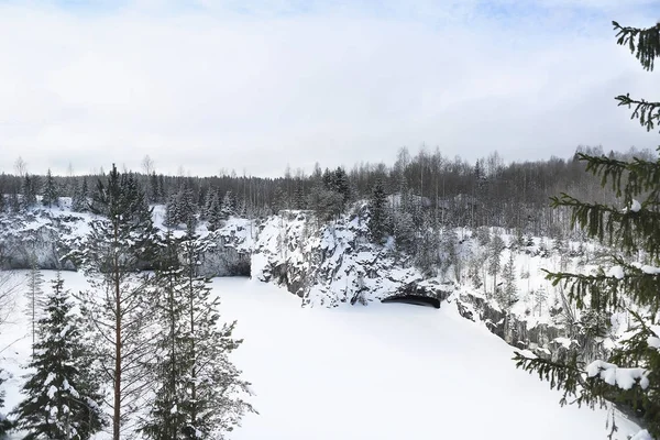 Zimní krajina se sněhem a jedlí — Stock fotografie