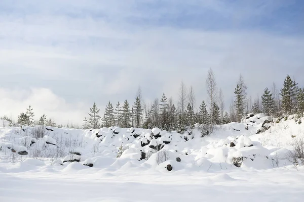 Vinterlandskap med snö och gran — Stockfoto