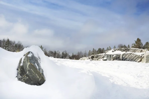 Vinterlandskap med snö och gran — Stockfoto