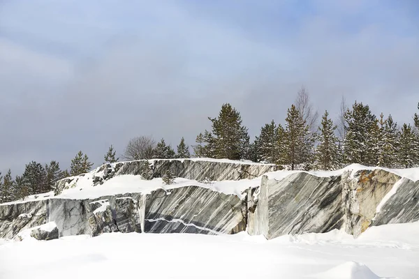 Winter landscape with snow and fir tree — Stock Photo, Image