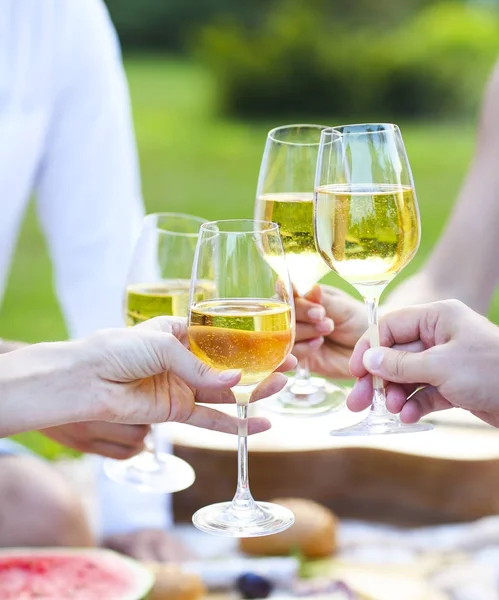 Piquenique de verão com vinho branco — Fotografia de Stock