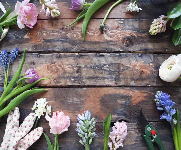 Цветы ранункула, тюльпана, геотсинта на деревянном фоне — стоковое фото