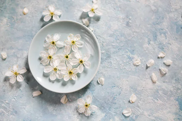 Fondo blanco y azul con flores de manzano —  Fotos de Stock