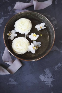 Siyah arka plan üzerine beyaz Düğünçiçeği