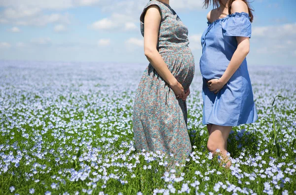 Dos mujeres embarazadas hermosas jóvenes en el campo de lino —  Fotos de Stock