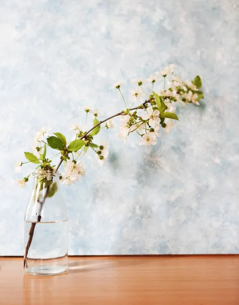 Beautiful spring flowers design background — Stock Photo, Image