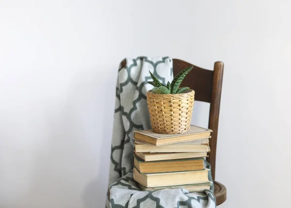 Інтер'єр спальні крупним планом з зеленою плед, книги і рослини на — стокове фото