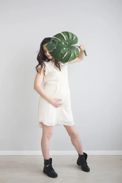 Morena grávida segurando monstera folha — Fotografia de Stock