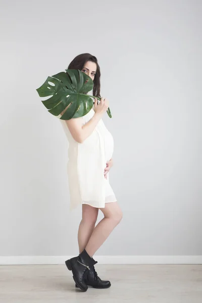 Monstera yaprak tutan esmer hamile kadın — Stok fotoğraf
