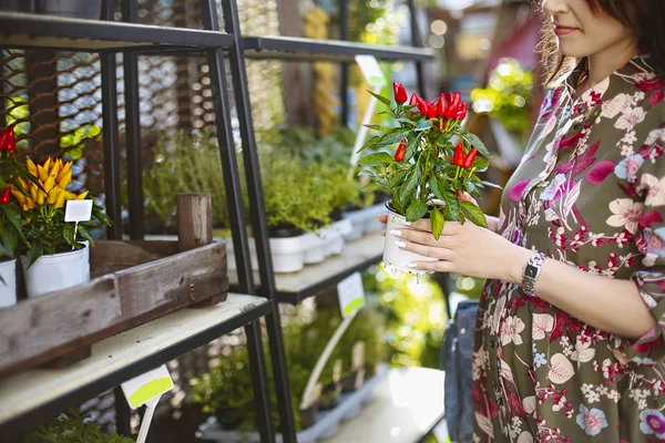 Kvinna shopping för blommor i HANDELSTRÄDGÅRDEN variation av växter — Stockfoto