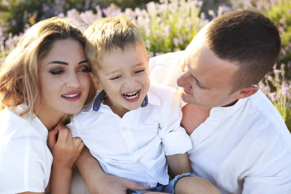 Mutter, Vater und ihr kleiner Sohn gehen in einem Lavendelfeld. — Stockfoto