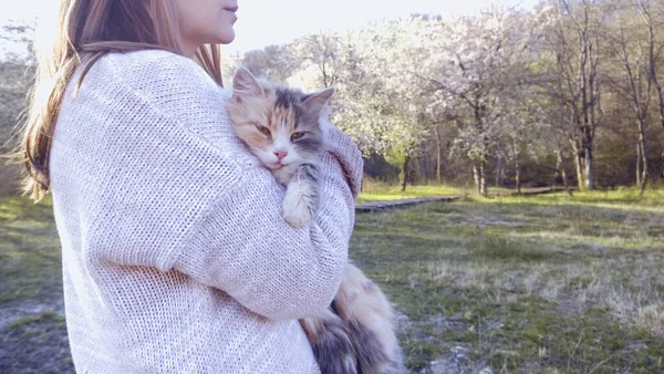 Woman holding cat on blurred background. Concept of volunteering — Stock Photo, Image