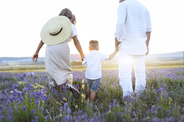 Mutter, Vater und ihr kleiner Sohn gehen in einem Lavendelfeld. — Stockfoto