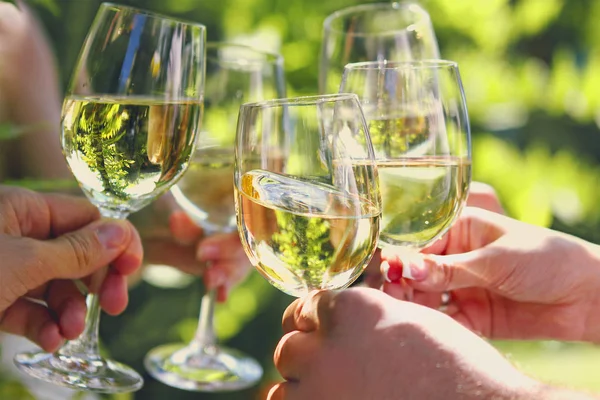 Celebração. Pessoas segurando copos de vinho branco fazendo um brinde — Fotografia de Stock