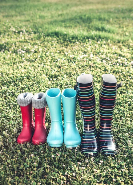 Botas de borracha coloridas na grama verde — Fotografia de Stock