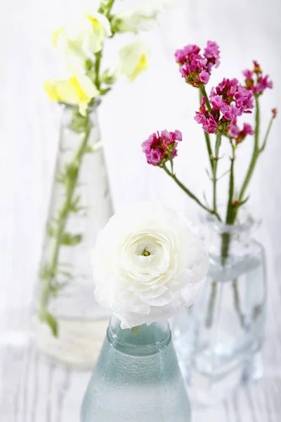 Schöne Natürliche Blumen Mit Zarten Blütenblättern Glasvasen Mit Wasser Platziert — Stockfoto