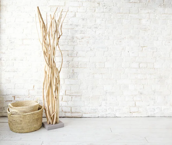 Getrocknete Beige Zierpflanze Auf Weißem Boden Der Nähe Von Stilvollem — Stockfoto