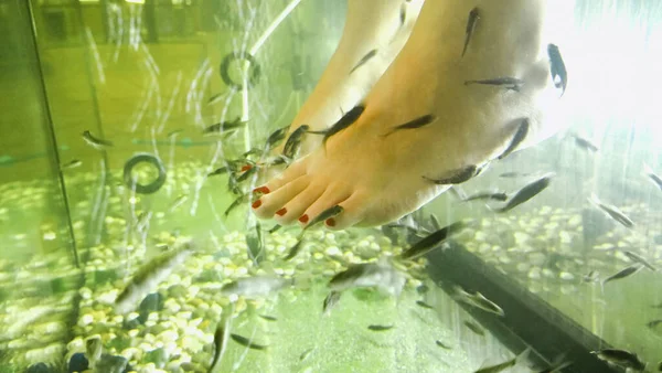 Través Cultivo Vidrio Descalzo Mujer Pies Enfriamiento Agua Del Acuario —  Fotos de Stock